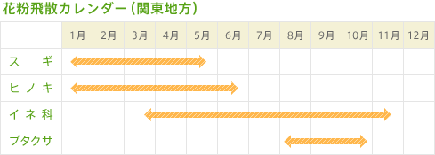 花粉飛散カレンダー（関東地方）